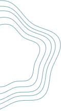 shape 2